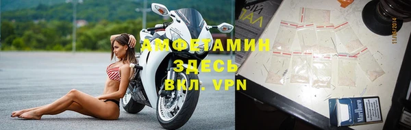 гашик Аркадак
