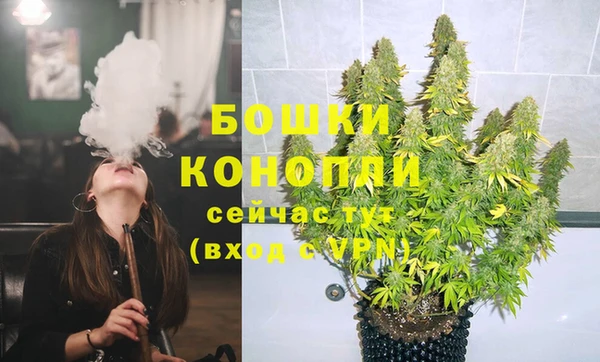 гашик Аркадак