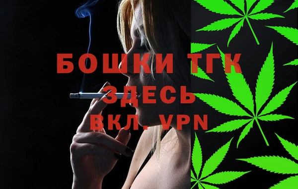 гашик Аркадак