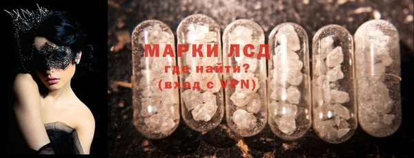гашик Аркадак