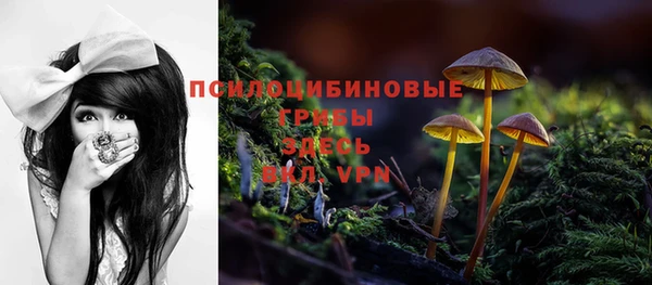 гашик Аркадак