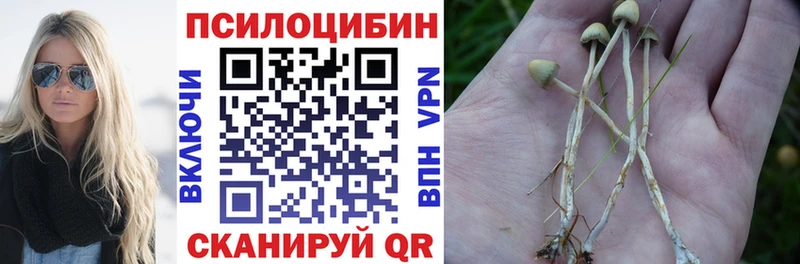 Галлюциногенные грибы мицелий  ссылка на мегу зеркало  Мглин  продажа наркотиков 